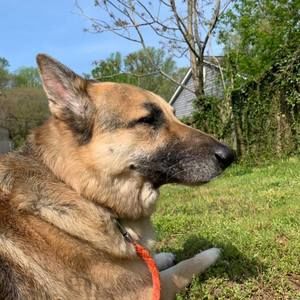 Meet your Posher, Ann